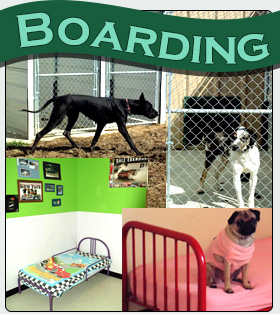 Pet boarding